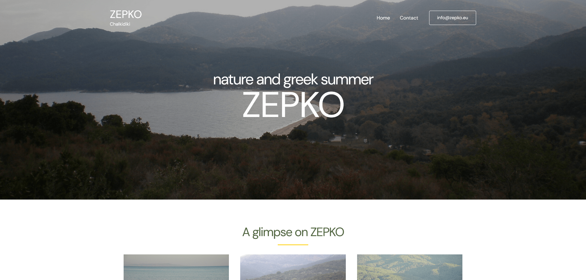 Zepko website
